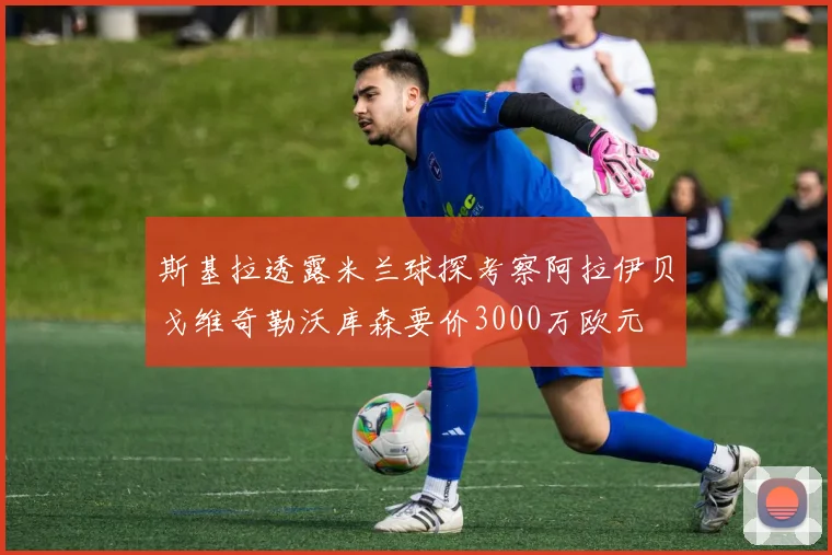 斯基拉透露米兰球探考察阿拉伊贝戈维奇勒沃库森要价3000万欧元